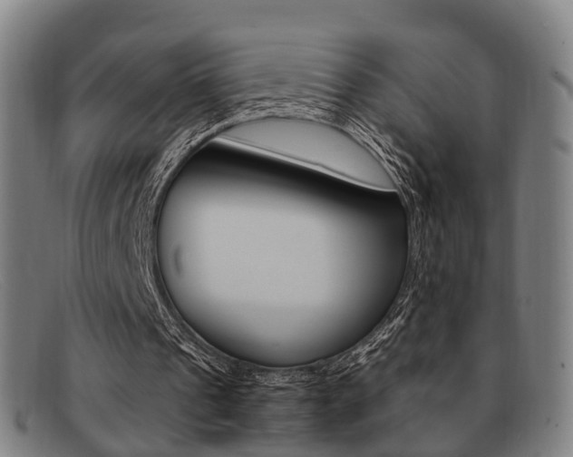 X0000092060241200709121012