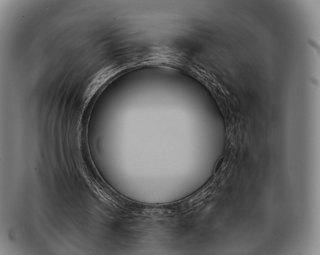 X0000092060242200709121012