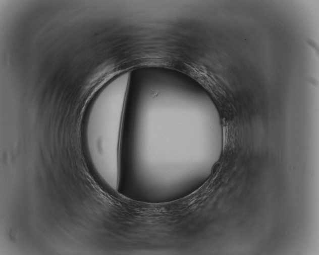 X0000092060243200709121012