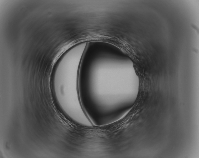 X0000092060244200709121012
