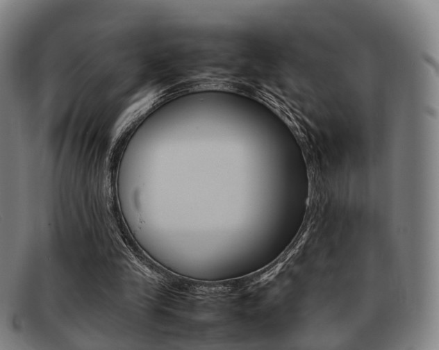 X0000092060245200709121012