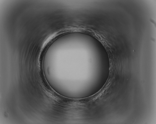 X0000092060246200709121012