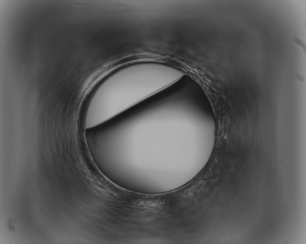 X0000092060247200709121012