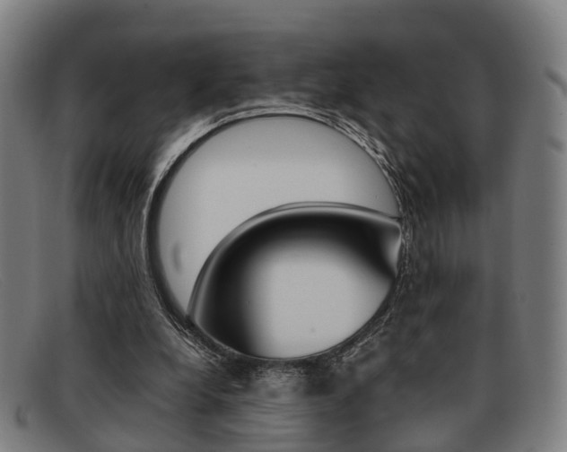 X0000092060248200709121012