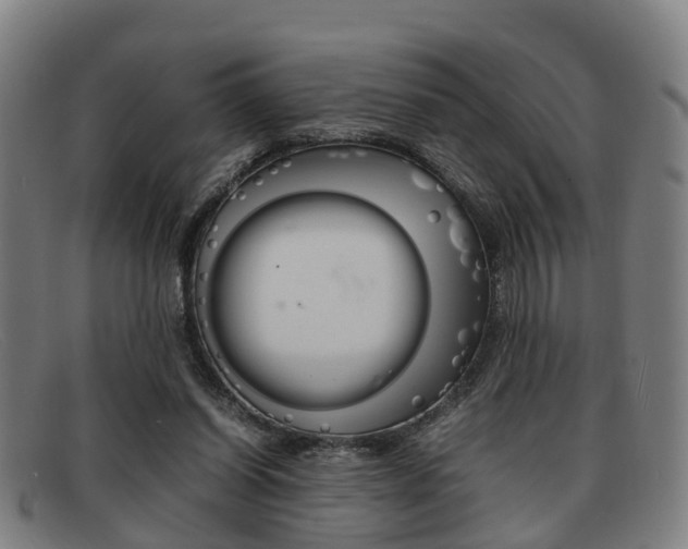X0000092060254200709121012