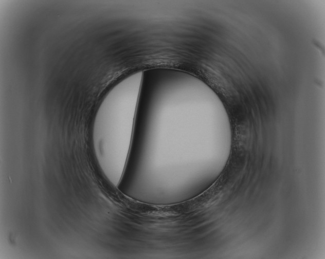 X0000092060255200709121012