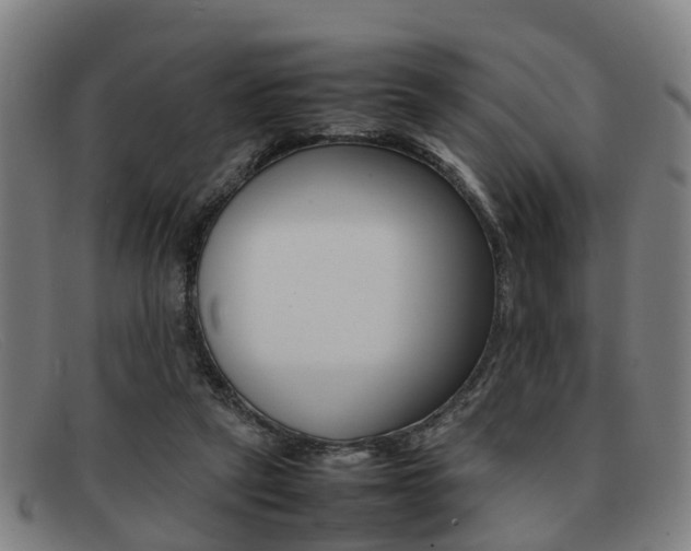 X0000092060257200709121012