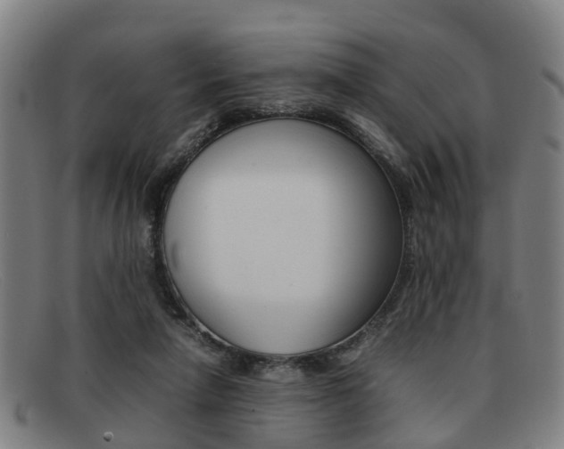 X0000092060258200709121012