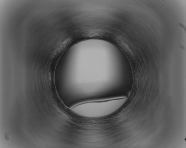 X0000092060260200709121012