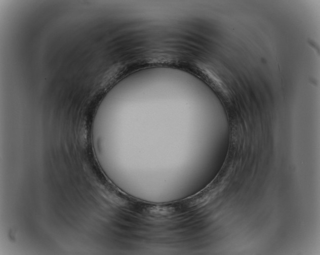 X0000092060261200709121012