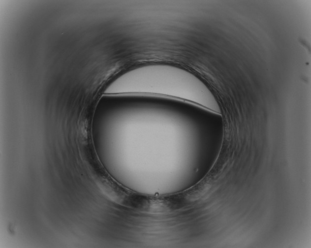 X0000092060264200709121012