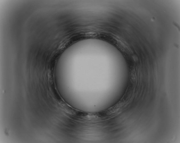 X0000092060270200709121012
