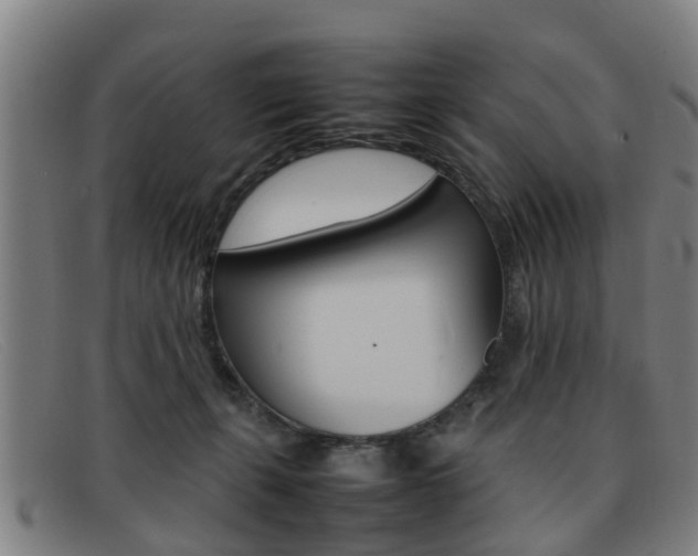 X0000092060271200709121012