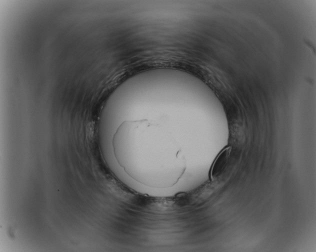 X0000092060278200709121012