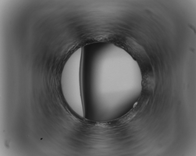 X0000092060280200709121012