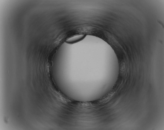 X0000092060282200709121012