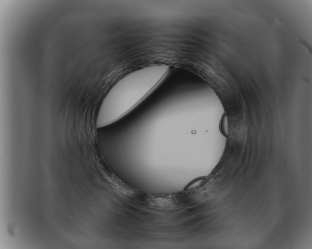 X0000092060285200709121012