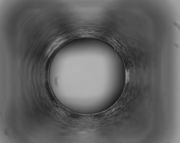 X0000092060291200709121012
