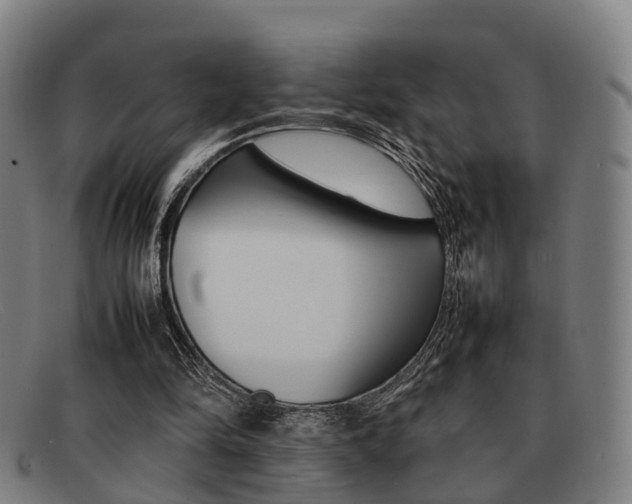 X0000092060294200709121012