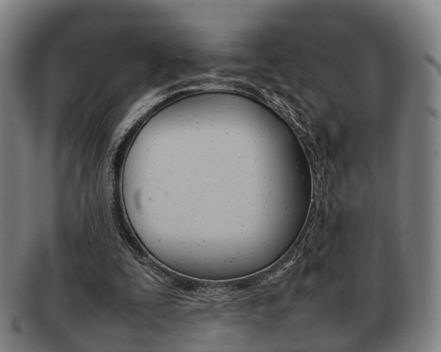 X0000092060295200709121012