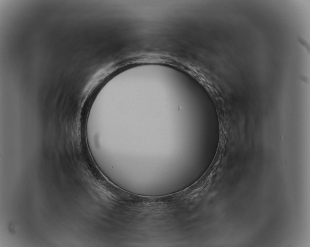 X0000092060296200709121012