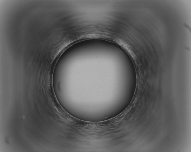X0000092060297200709121012