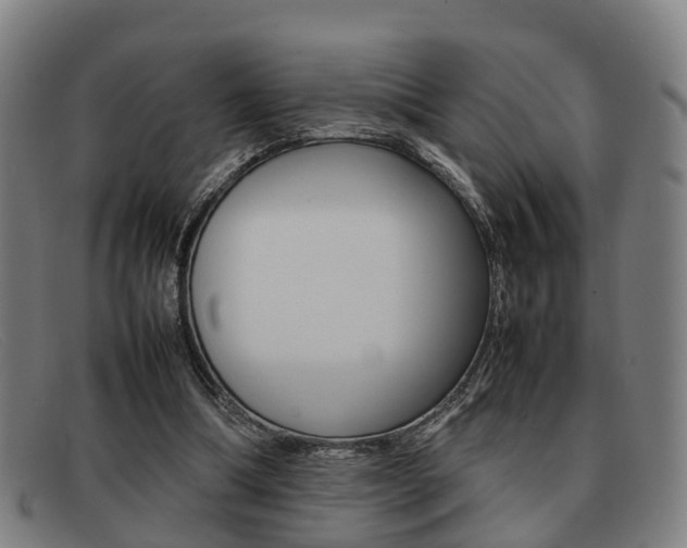 X0000092060298200709121012
