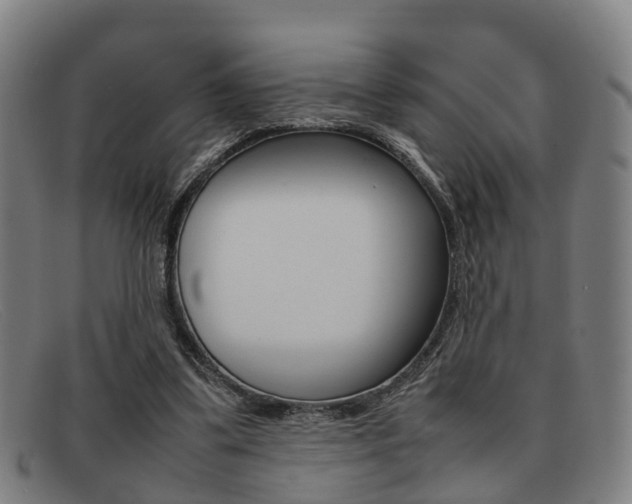X0000092060299200709121012