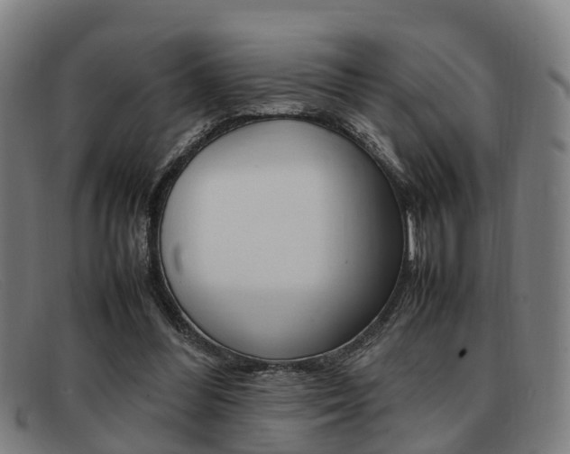 X0000092060300200709121011