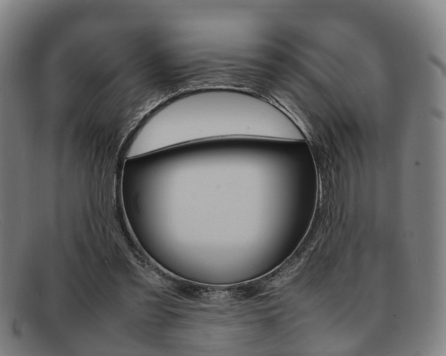 X0000092060301200709121011