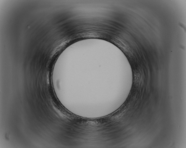 X0000092060302200709121011