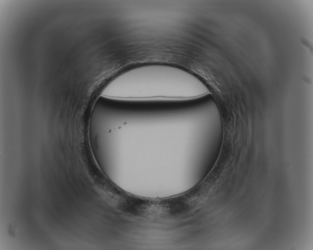 X0000092060303200709121011