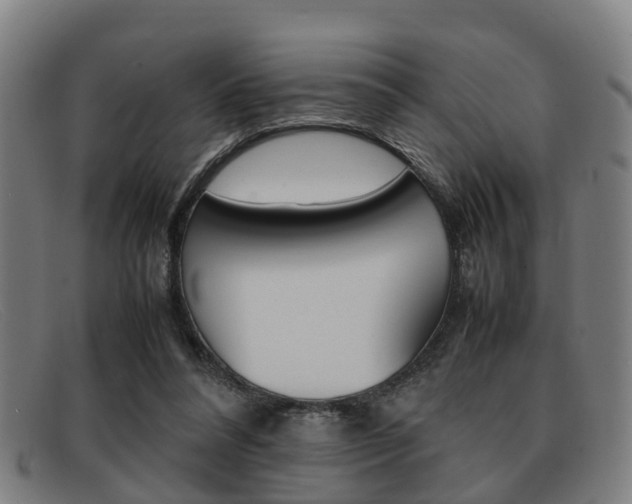 X0000092060304200709121011