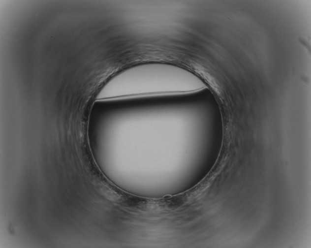 X0000092060305200709121011