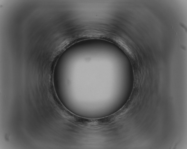 X0000092060309200709121011
