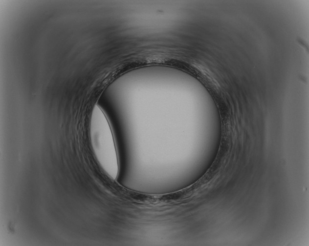 X0000092060311200709121011