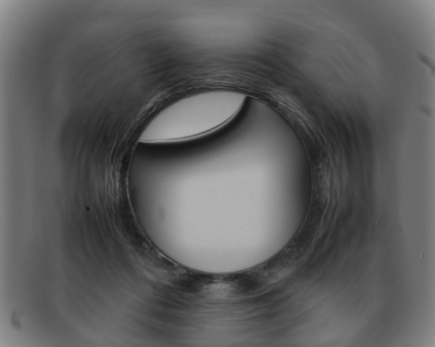 X0000092060312200709121011