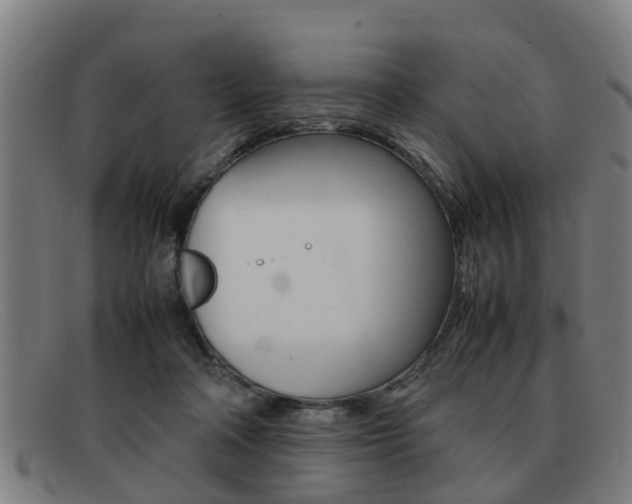 X0000092060314200709121011