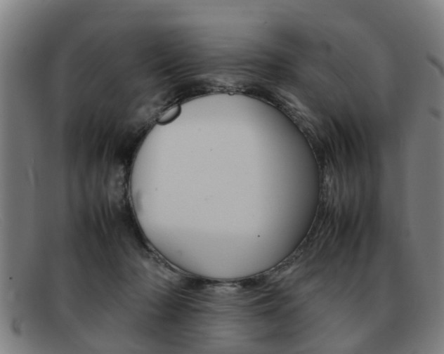 X0000092060318200709121011