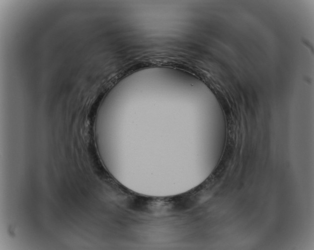 X0000092060319200709121011
