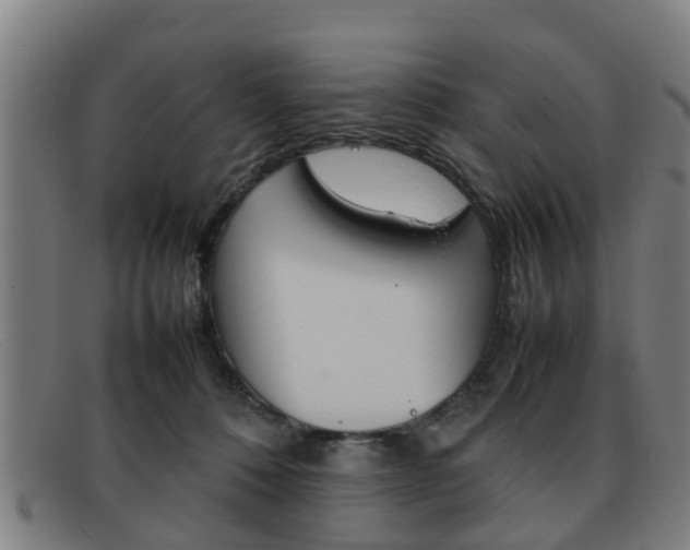 X0000092060320200709121011
