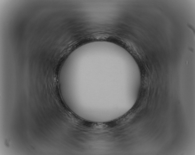 X0000092060321200709121011