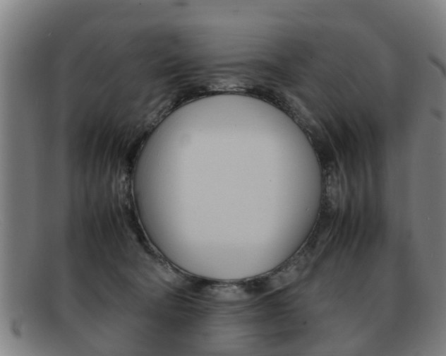 X0000092060322200709121011