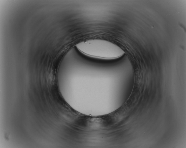 X0000092060324200709121011