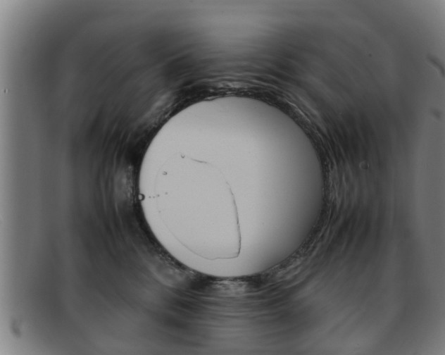X0000092060328200709121011