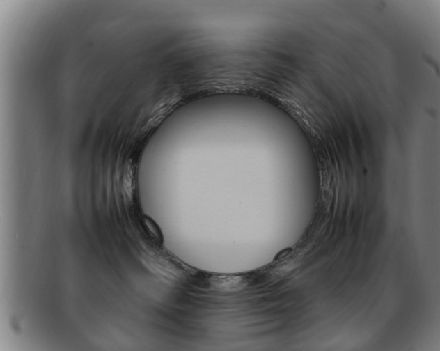 X0000092060334200709121011