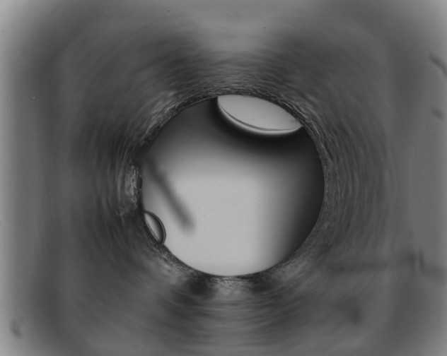 X0000092060336200709121011