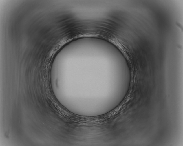X0000092060337200709121010