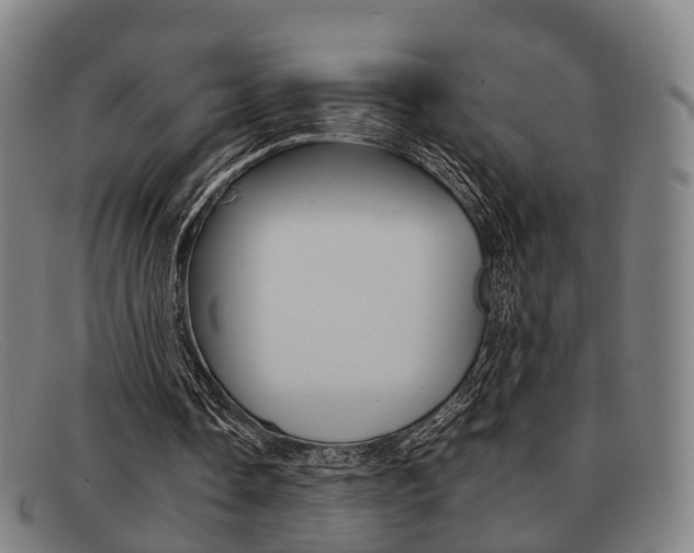 X0000092060338200709121010