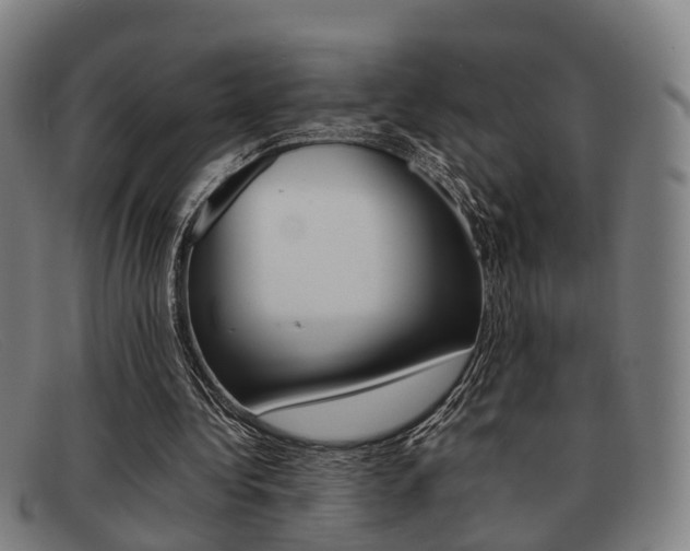 X0000092060340200709121010